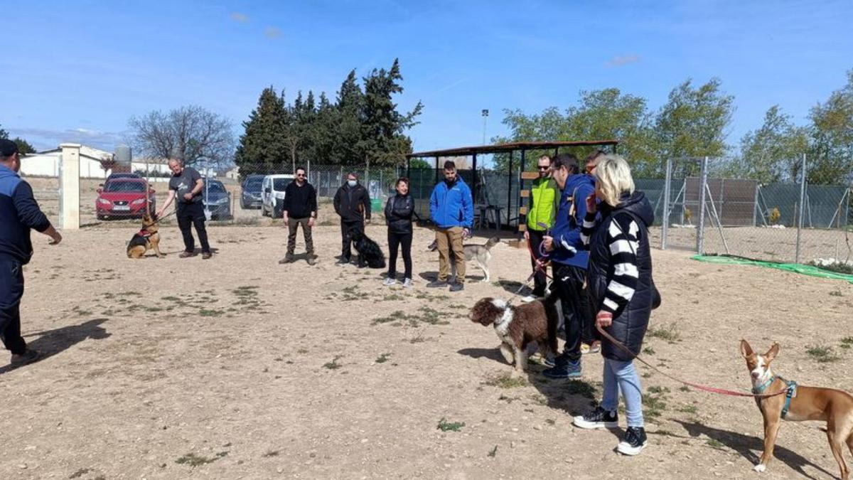36 personas se apuntaron a los talleres junto con sus mascotas. | SERVICIO ESPECIAL