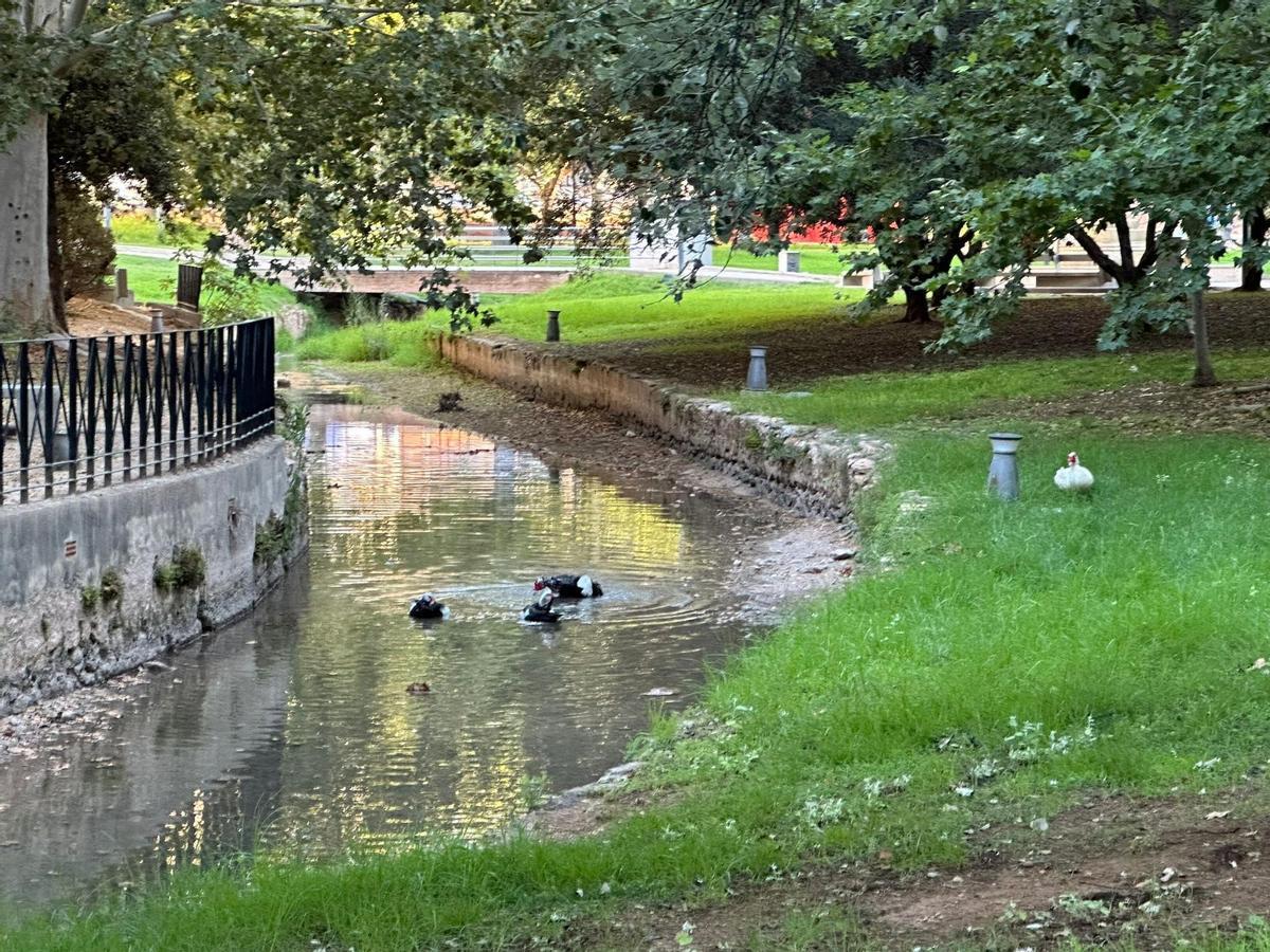 El río Sants, tras la inyección de caudal de Canals, en julio.