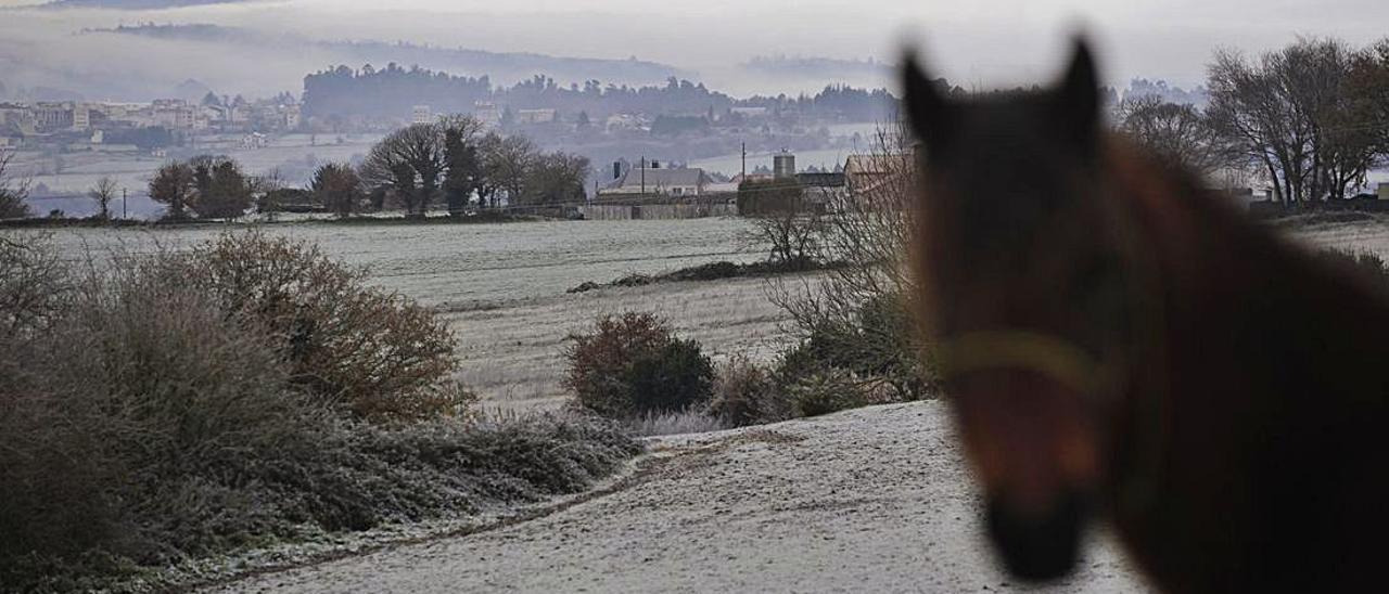 Margaride es la parroquia rural que más crece.   | // BERNABÉ/JAVIER LALÍN