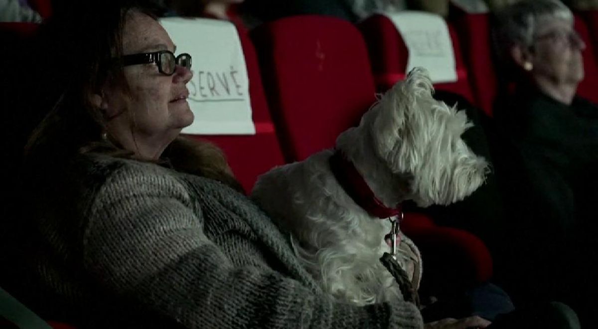 Un cine de París organiza una proyección para mascotas de La dama y el vagabundo