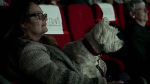 Un cine de París organiza una proyección para mascotas de La dama y el vagabundo