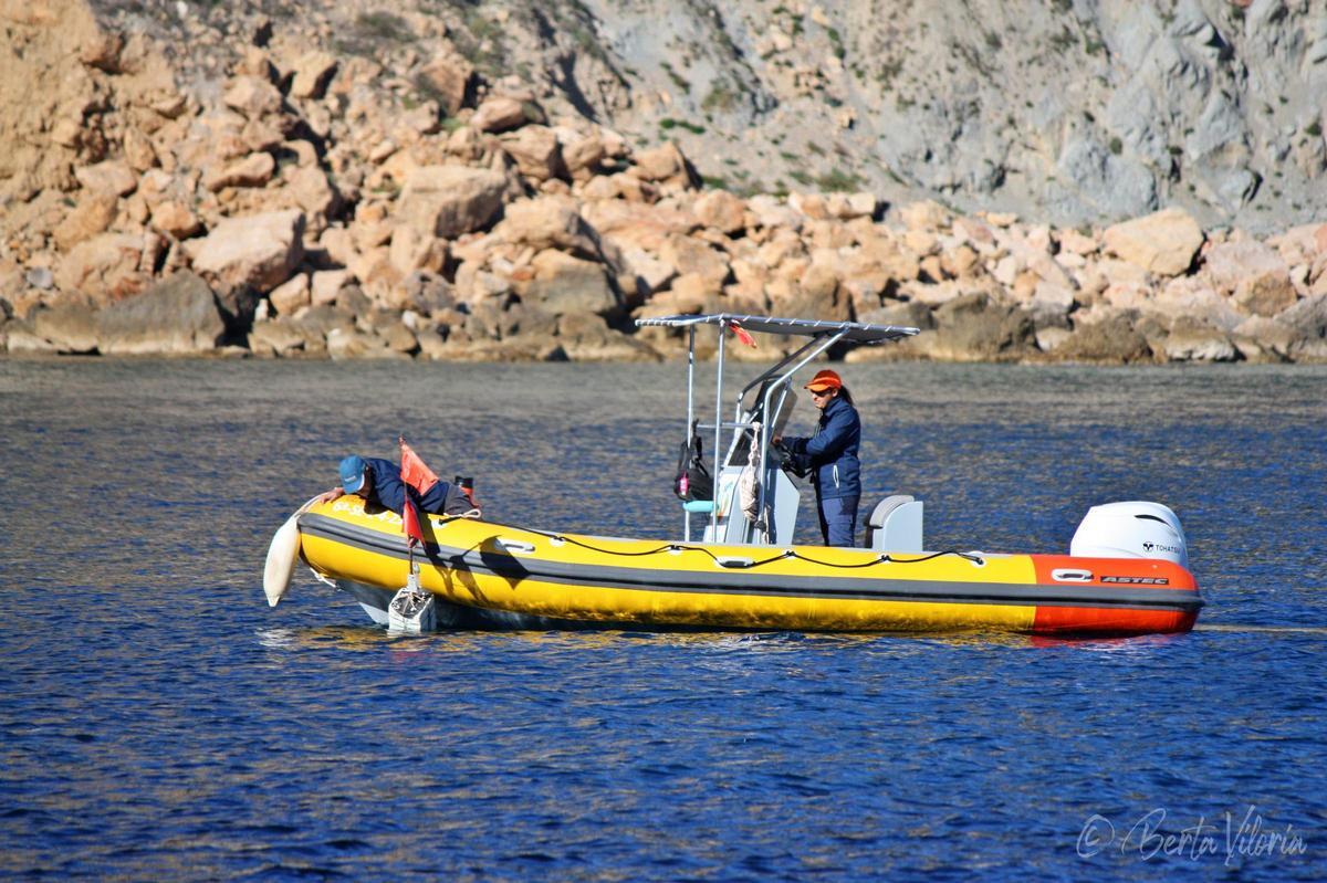 El Servicio de Vigilancia de la Posidonia de la Generalitat en Xàbia