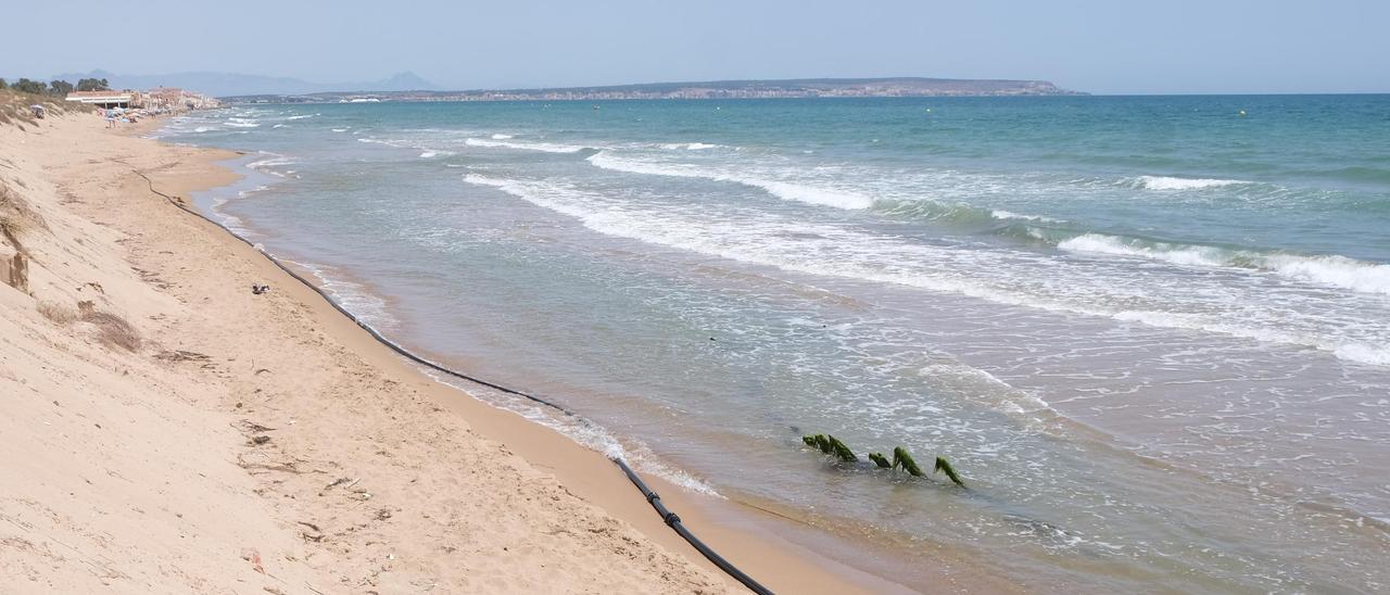 La temperatura del mar en la costa alicantina no desciende.