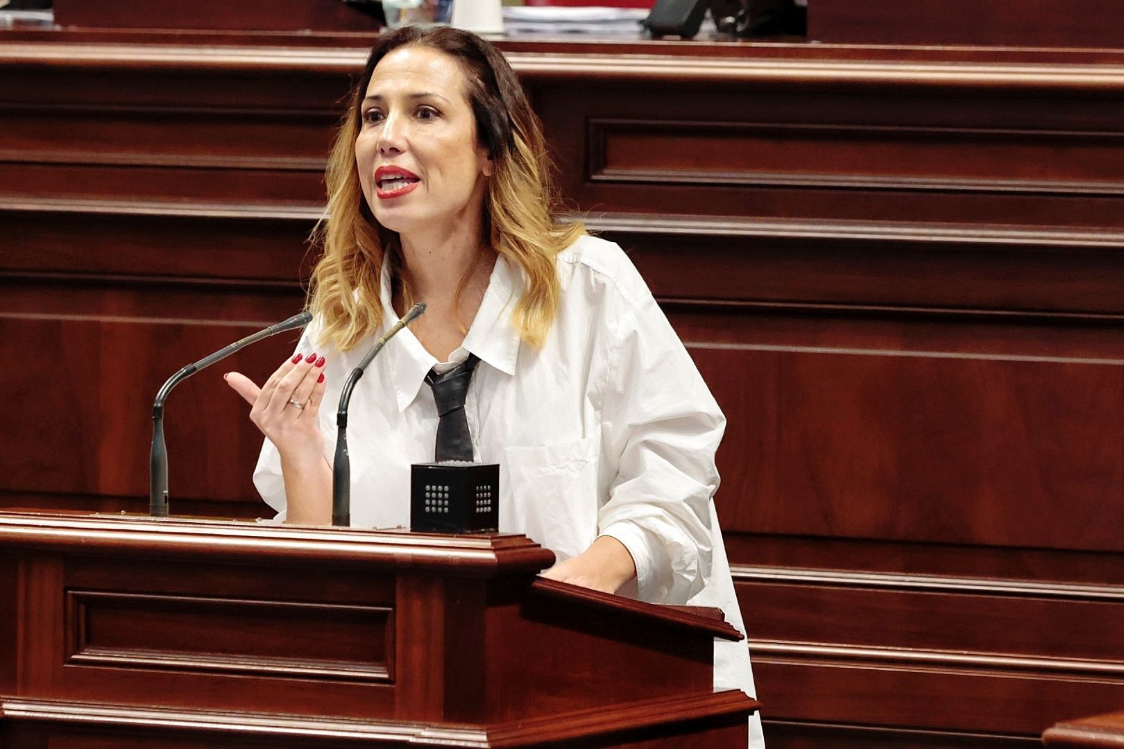 Pleno extraordinario en el Parlamento de Canarias (19/01/2023)