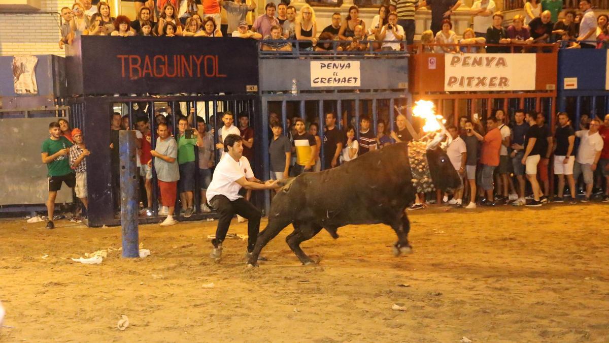 Imagen de archivo de un toro embolado.