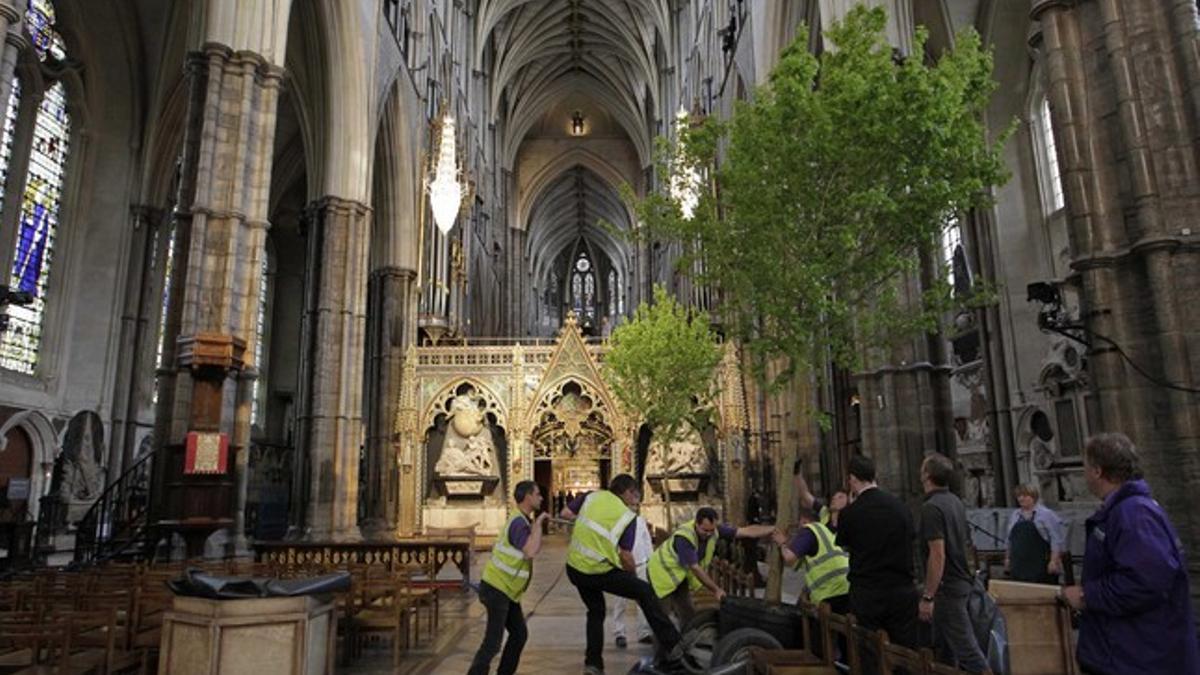 Varios trabajadores colocan los arces silvestres ingleses en el interior de la Abadía de Westminster, el martes.
