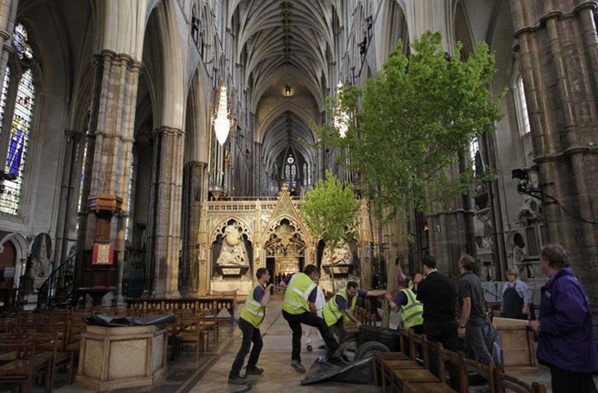 Diversos treballadors col·loquen els aurons silvestres anglesos a l’interior de l’abadia de Westminster, dimarts.