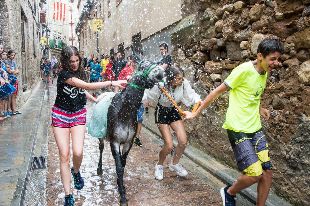 Els Elois se salven de la pluja, però no de l'aigua