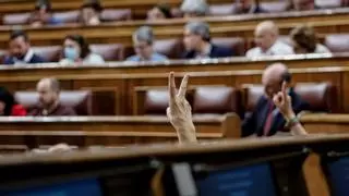 ¿Qué votan los diputados? El Congreso se pone como deberes ser más transparente en el proceso legislativo