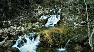 La cuenca del Segura recibirá 145 millones de euros para evitar la degradación de los acuíferos