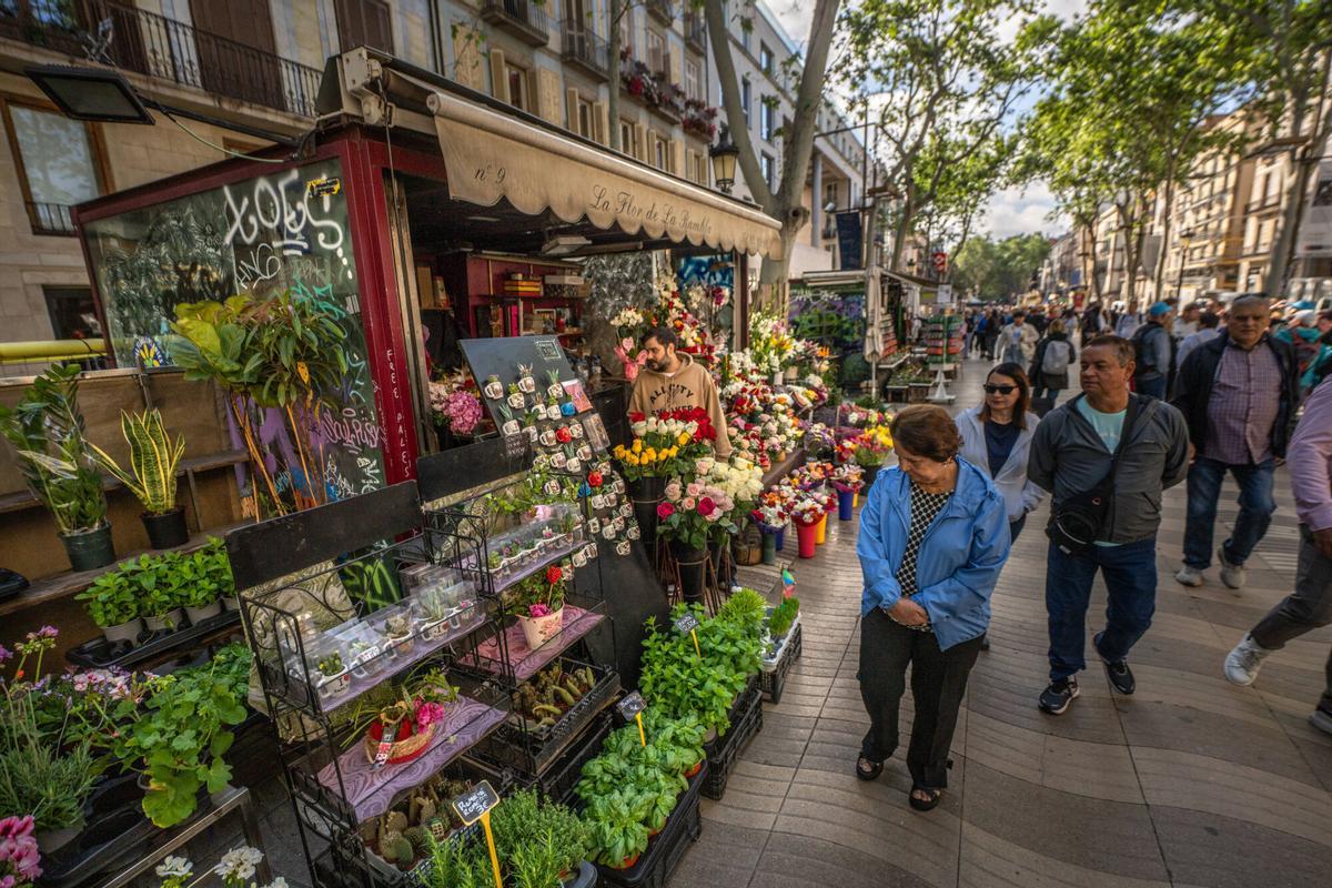 barcelona 07/05/2025 Barcelona ImÃ¡genes de paradas de floristas de la Rambla. El ayuntamiento ha encargado los nuevos quioscos que se instalaran cuando se acaben las obras. AUTOR: JORDI OTIX