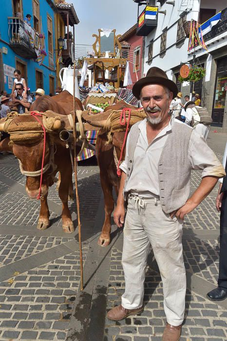 Carretas y grupos en la romería del Pino