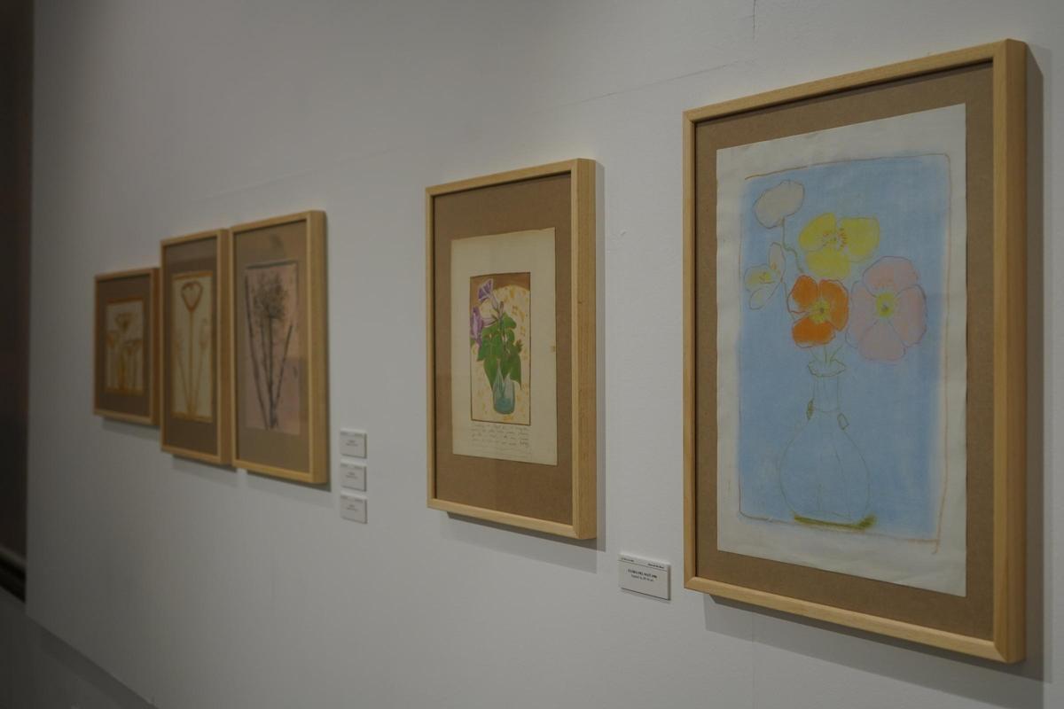 L'exposició de Maria del Mar Bonet a Xàtiva.