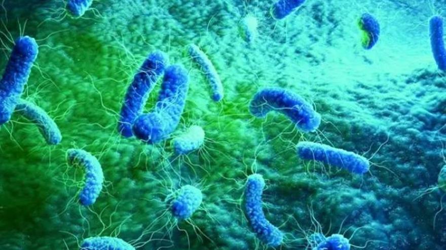 Descubren una nueva clase de antibióticos activos contra una amplia gama de bacterias