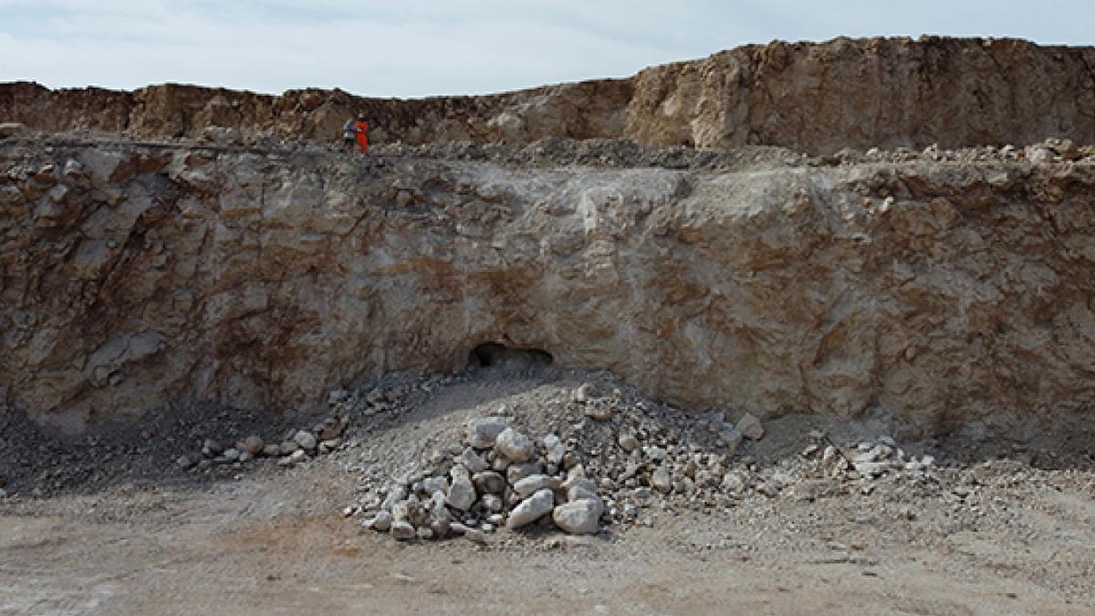 La cueva fue descubierta, accidentalmente, durante los trabajos mineros que se llevan a cabo la cantera de caliza que la empresa Financiera y Minera posee en La Araña