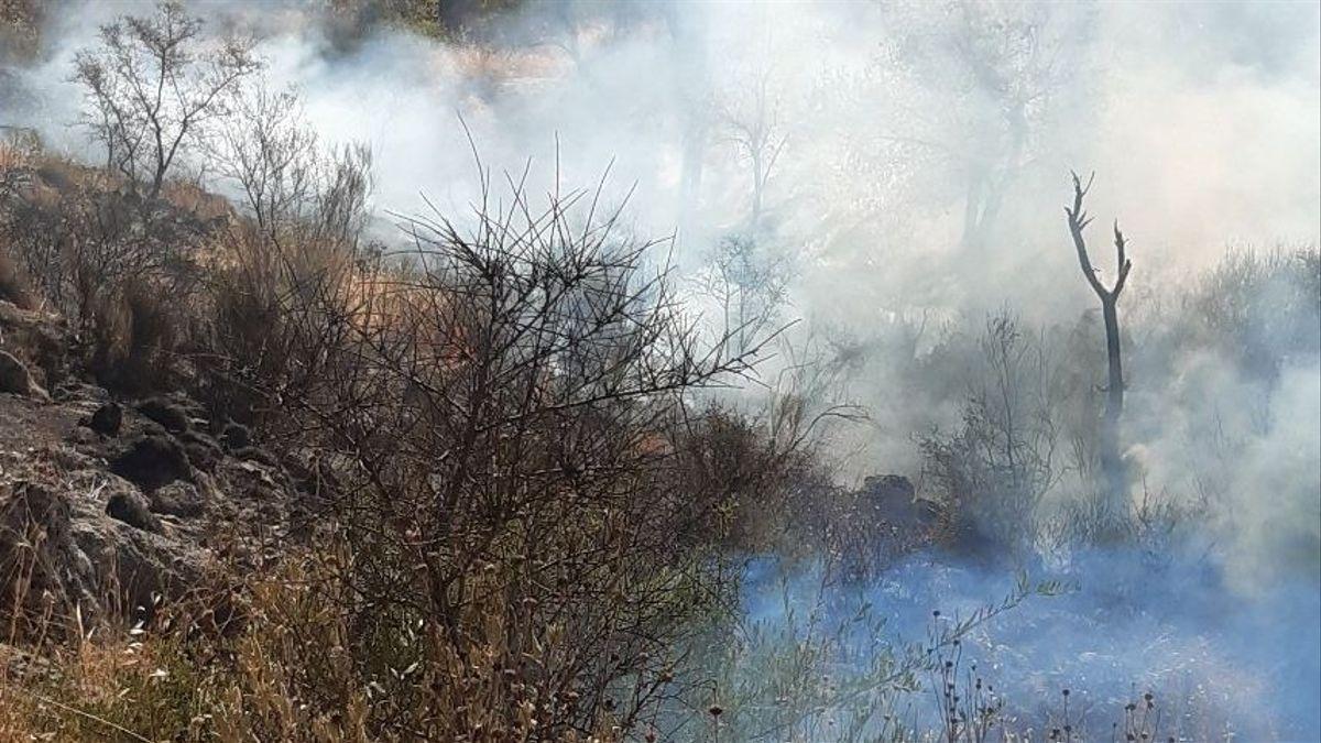 Incendio forestal declarado en Luque.