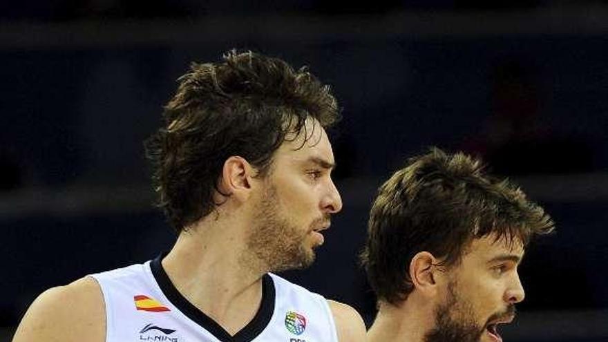 Pau y Marc Gasol, durante el pasado Europeo. / efe / g. licovski