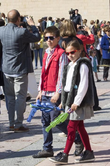 Bendición de ramos en la plaza de la Catedral