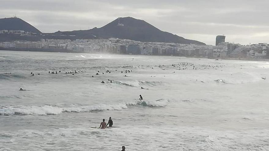 Desconfinamiento en Canarias | Las reacciones de la desescalada en Las Canteras