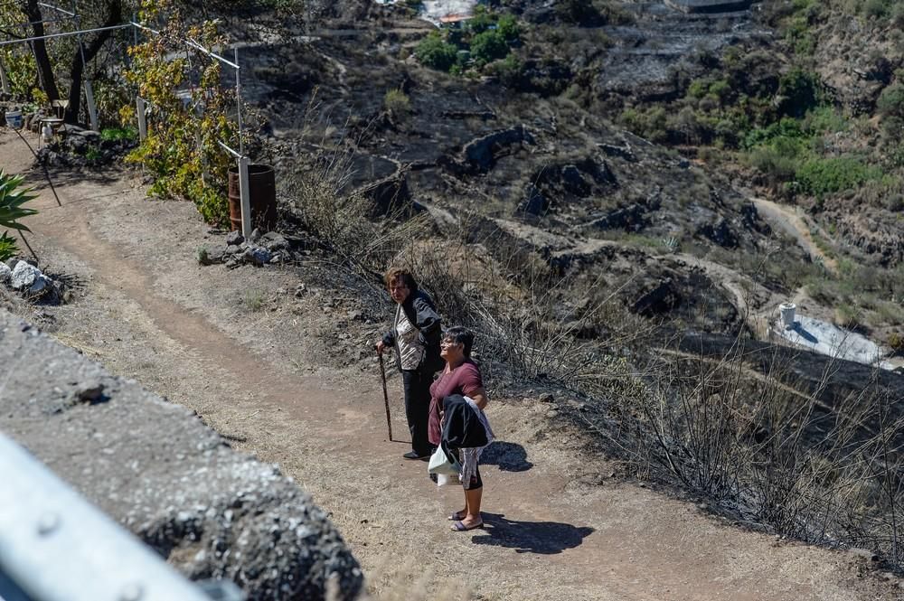 Incendio en Gran Canaria | Zonas afectadas en las medianías de Gáldar y en Artenara