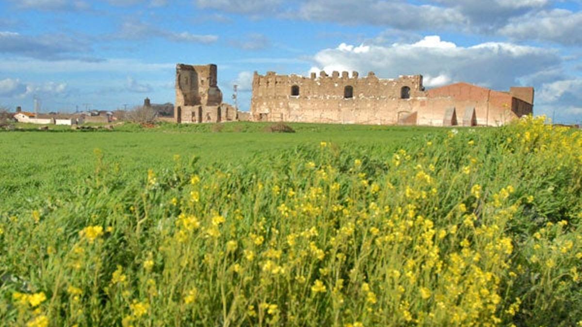 Madrigal de las Altas Torres es la villa principal de la comarca de La Moraña occidental