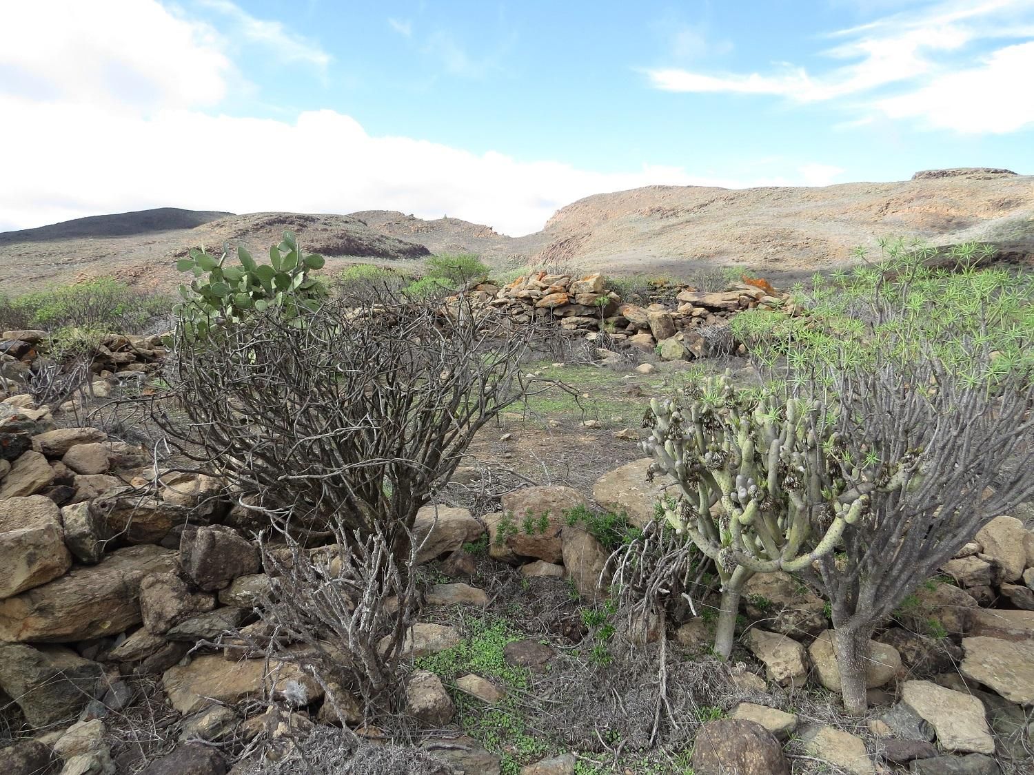 Así son los yacimentos descubiertos en Gran Canaria