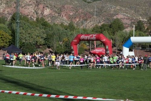 Final Regional de Campo Através en La Torrecilla