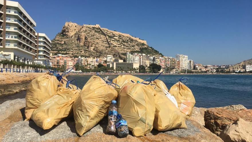 Imagen de la basura recogida hoy en la playa del Postiguet.