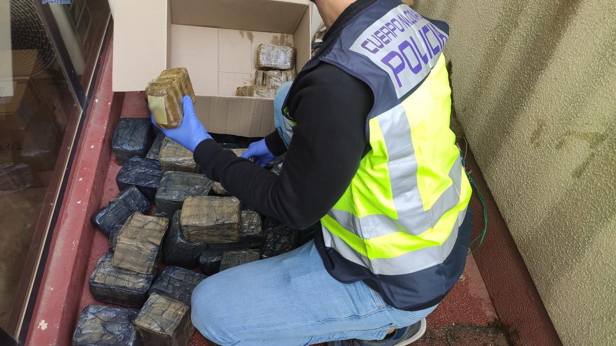 Un agente de la Policía Nacional examina el paquete localizado en Ciutat Jardí.