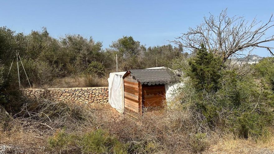 Redada de la Policía Local de Ibiza en unos campamentos en Ca n&#039;Escandell