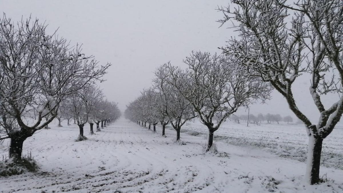 Schnee in der Gemeinde Sant Joan.