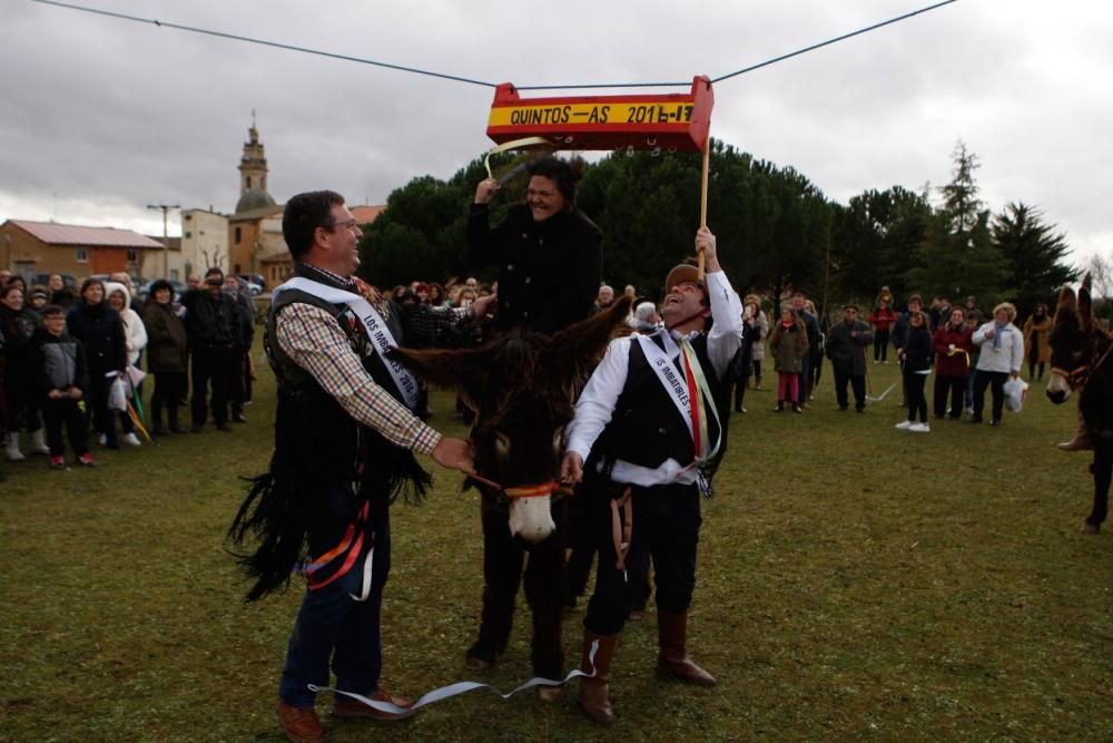 Carrera de cintas en burro en Molacillos.