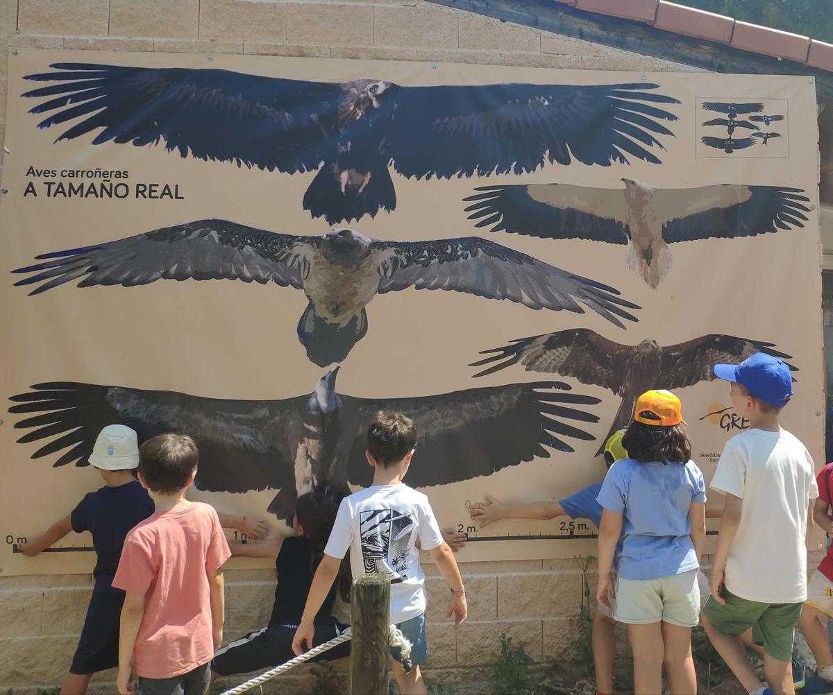 Varios niños contemplan un mural con varias especies de aves.