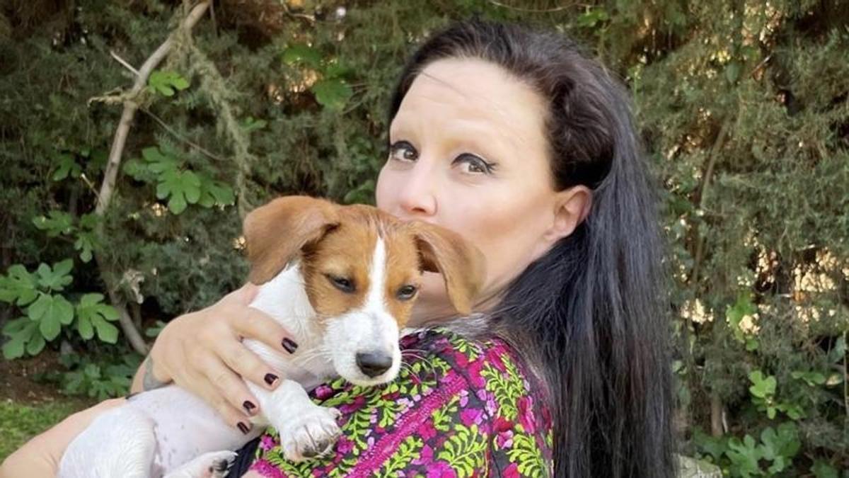 Alaska no pudo adoptar a un perrito debido a su enfermedad