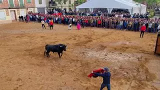 Villafáfila, punto de encuentro de los aficionados taurinos