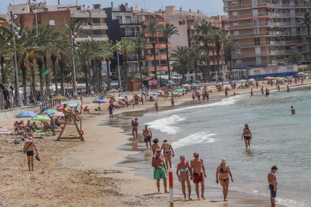 Primer día de baño autorizado en las playas de Torrevieja con arena parcelada y controles de acceso