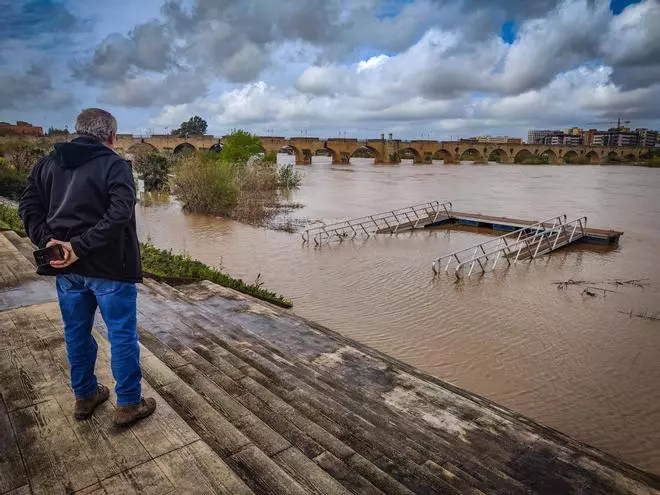 El estado del río Guadiana a su paso por Badajoz