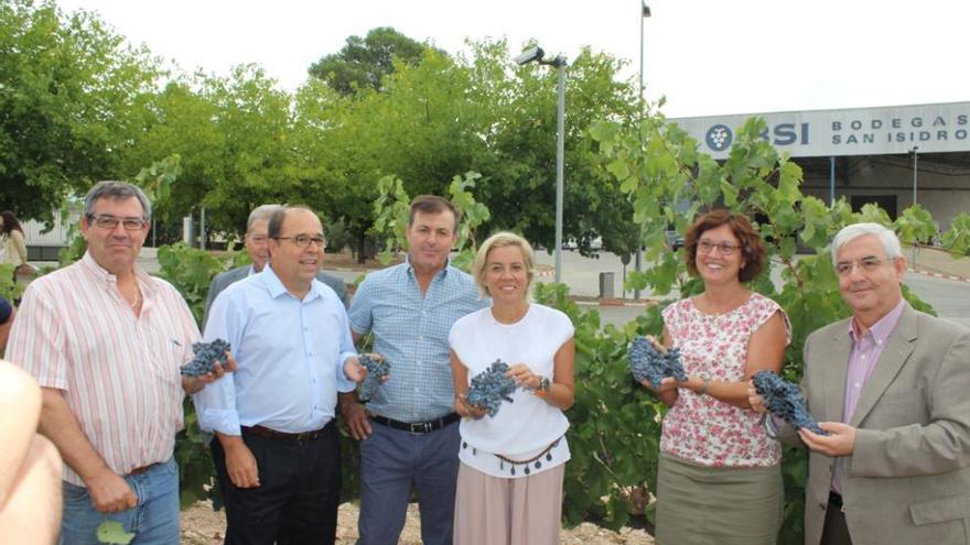 La Vendimia echa a andar en Jumilla