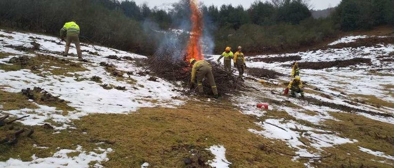 Miembros de la BRIF queman rastrojos de forma controlada en la vega de Brañagallones.