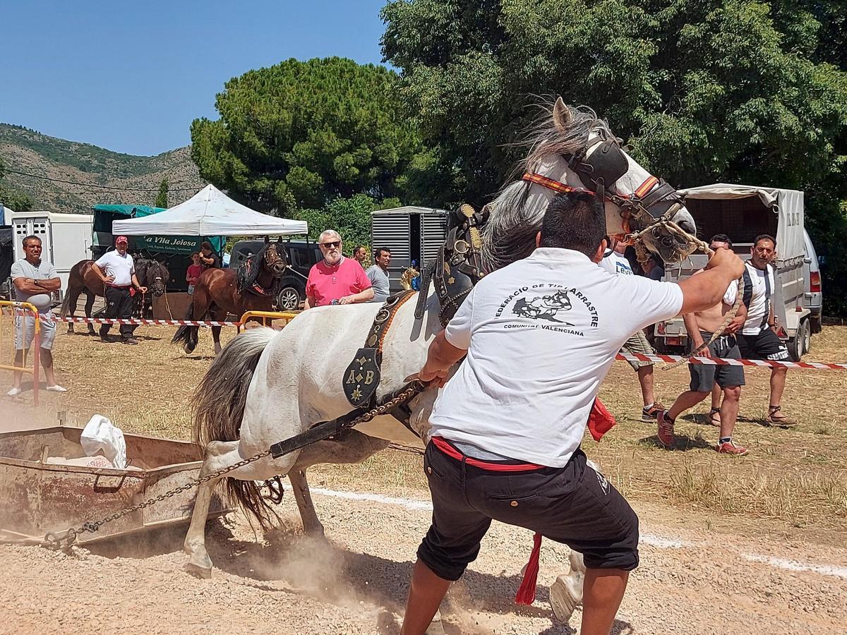 Imagen de archivo del tiro y arrastre