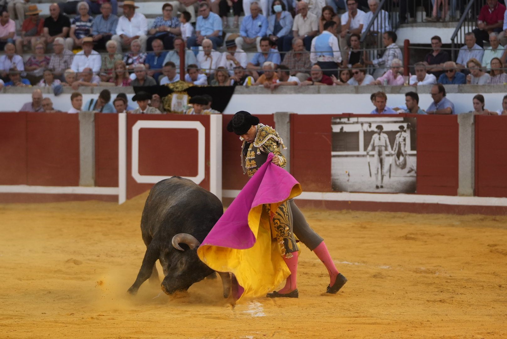 Compromiso torero frente a un gran encierro de Adolfo en Pozoblanco