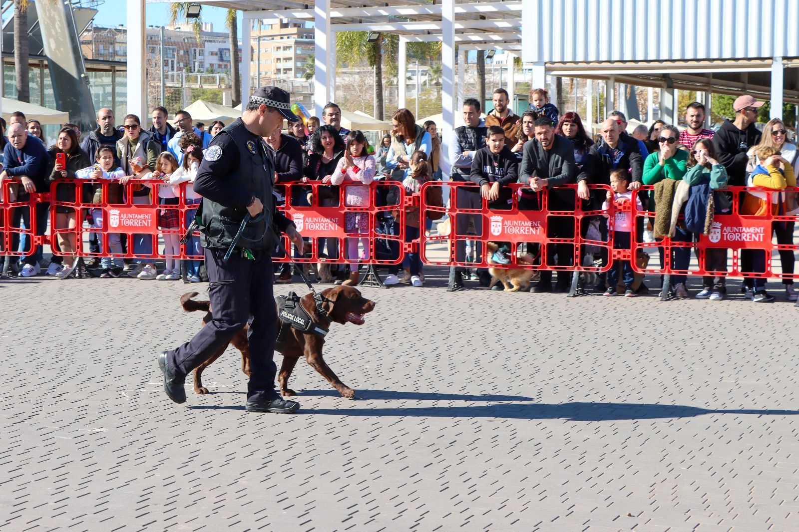 Uno de los participantes del evento para perros