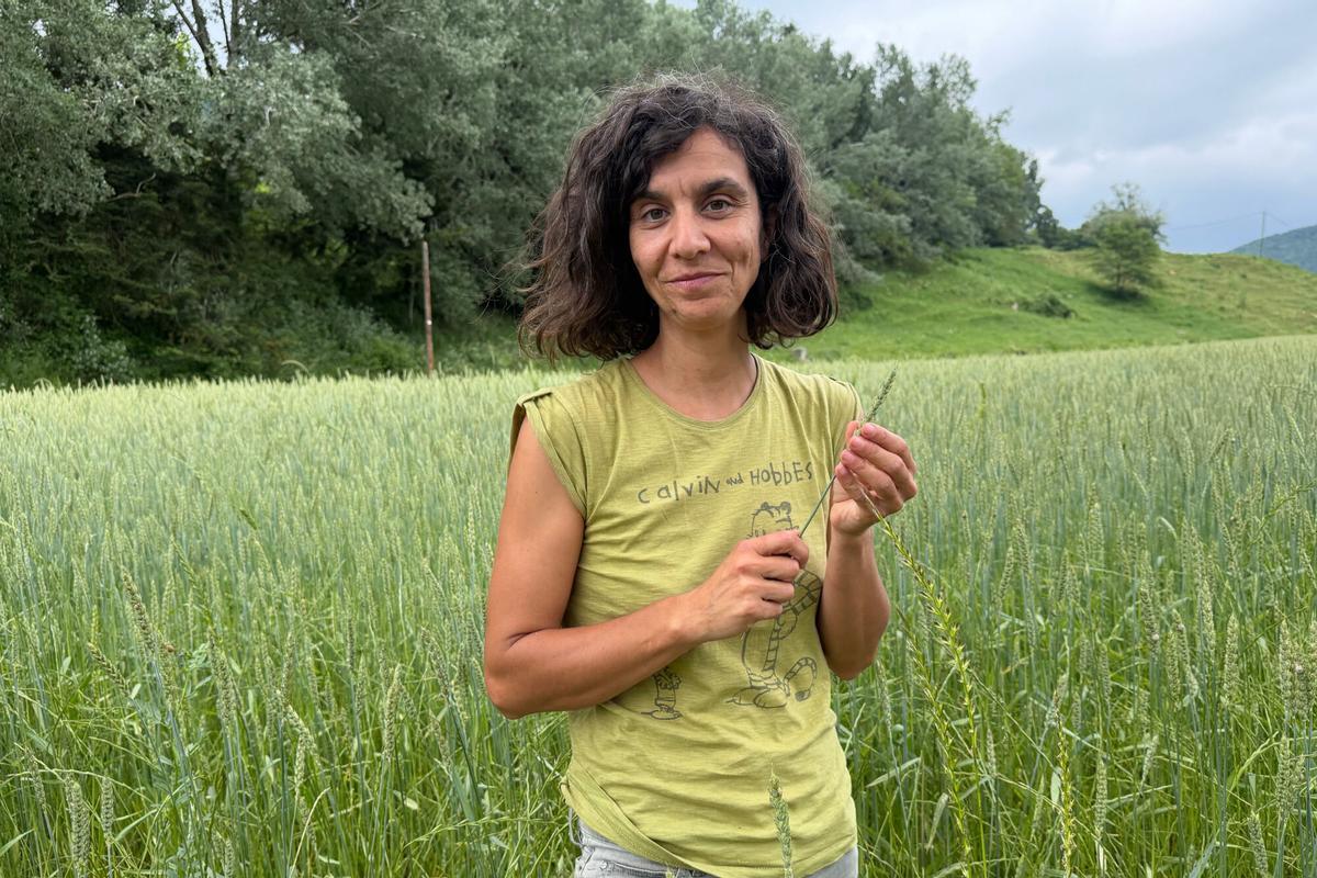 Ana Maria Fernández, amb el camp de blat antic que ha plantat