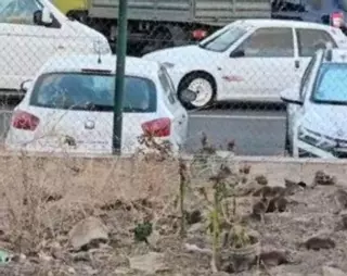 Las ratas amenazan a los vecinos de La Paterna: «Esto ya da miedo»