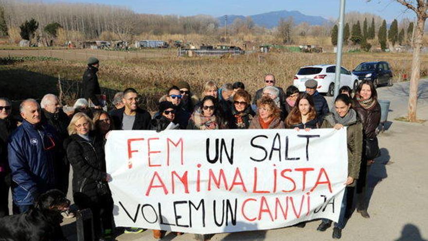 Els diferents representants de les associacions animalistes que han signat el manifest