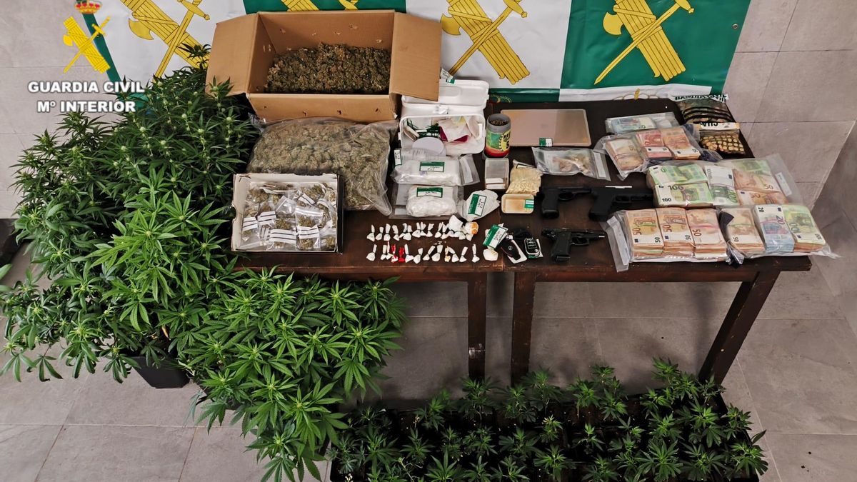 Material incautado por la Guardia Civil en la operación
