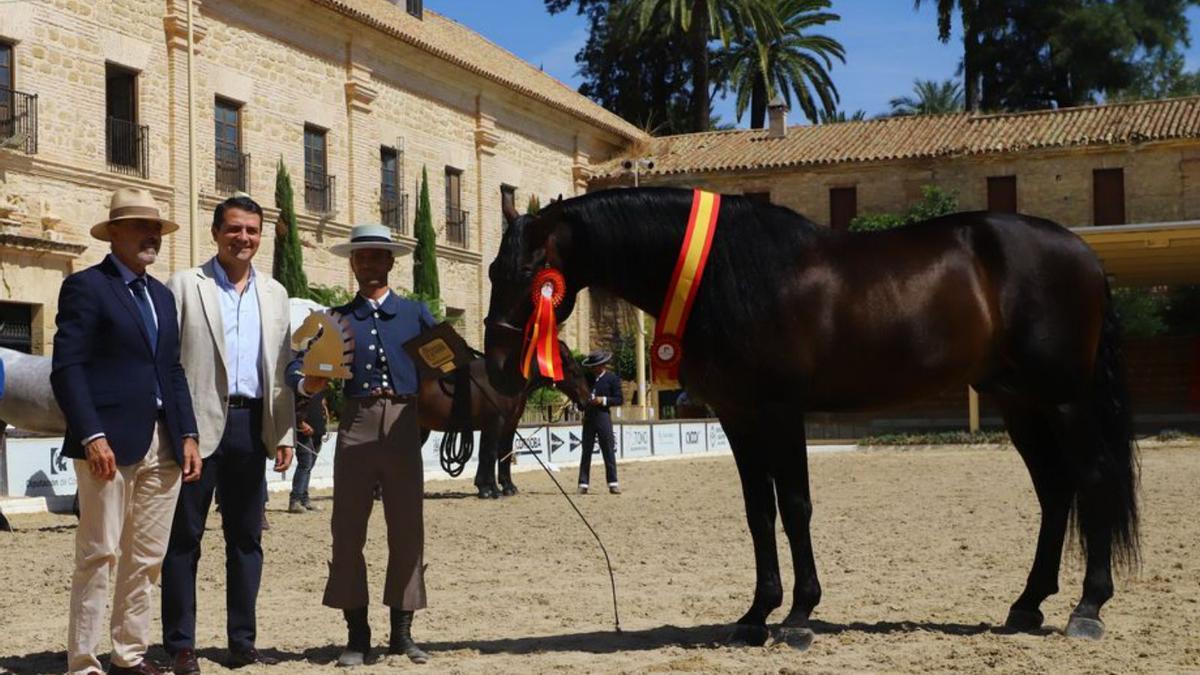 &#039;Jalisco&#039;, de la yeguada Marengo, campeón del concurso. 