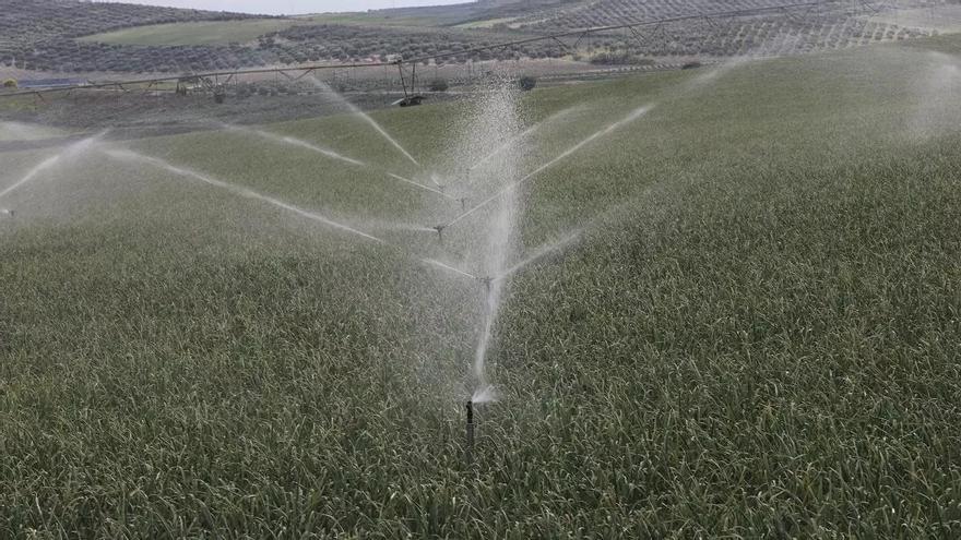 Feragua pide a la Junta que suavice y agilice la tramitación para presas, balsas, trasvases y plantas de aguas regeneradas