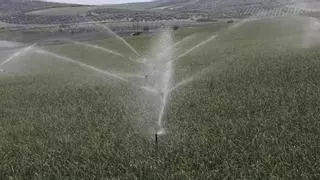 Feragua pide a la Junta que suavice y agilice la tramitación para presas, balsas, trasvases y plantas de aguas regeneradas