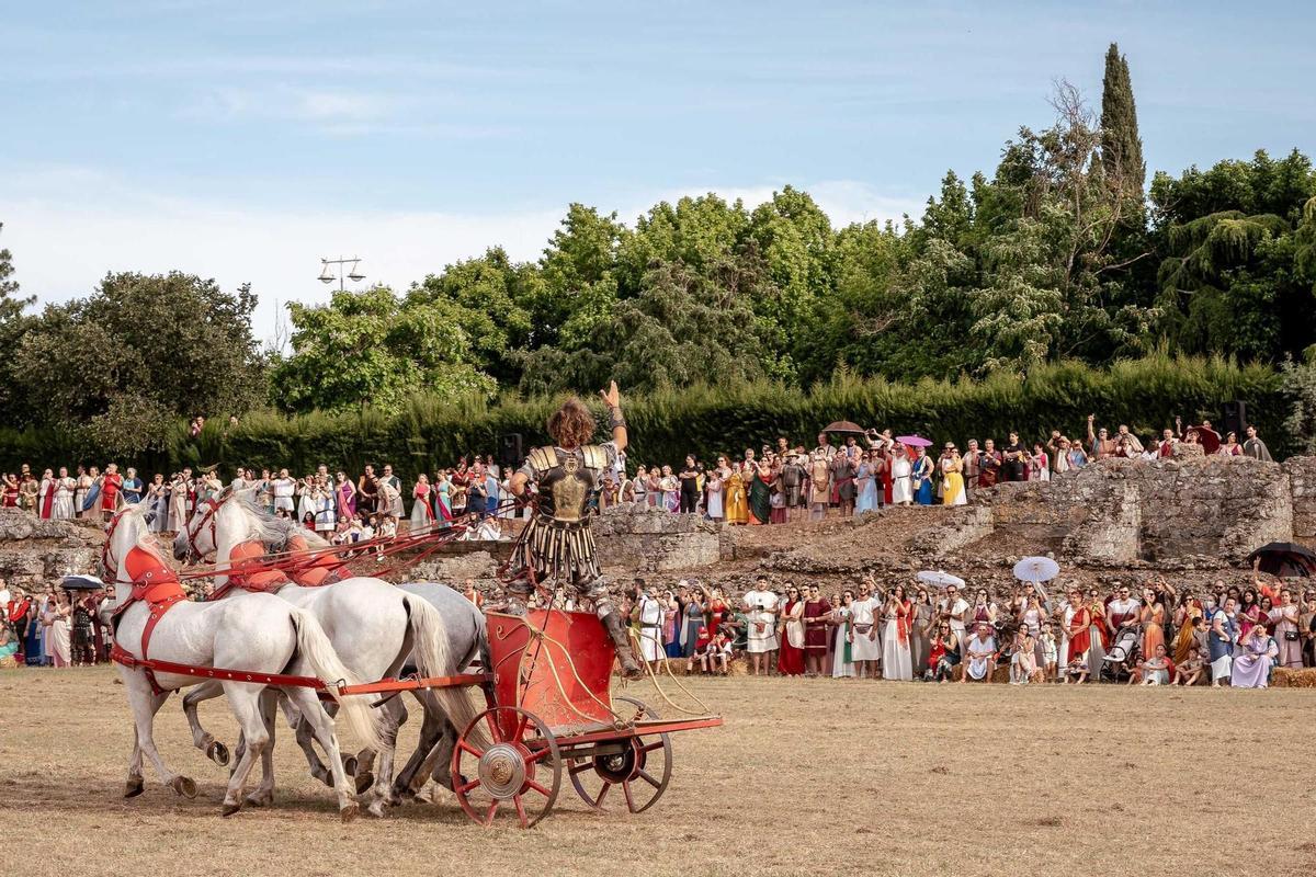 Carrera de cuádrigas, en la pasada edición de Emerita Lvdica.